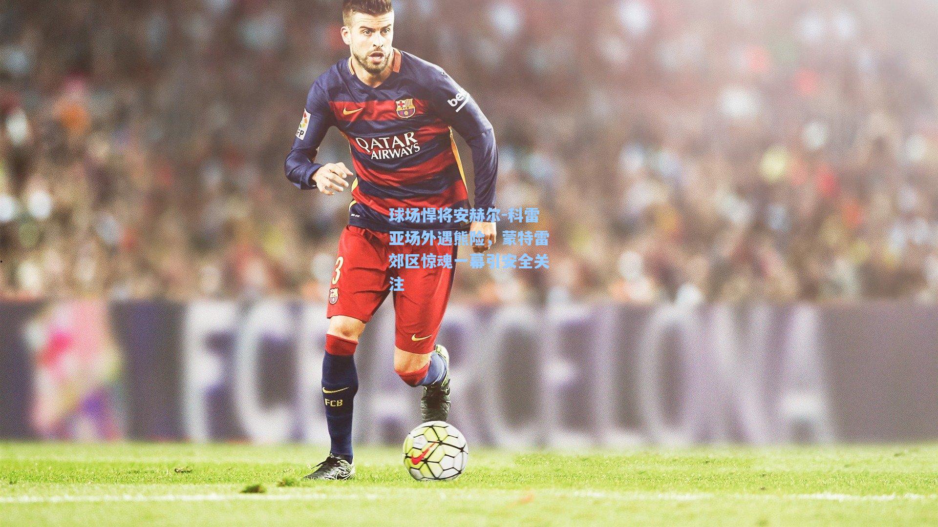 球场悍将安赫尔-科雷亚场外遇熊险，蒙特雷郊区惊魂一幕引安全关注